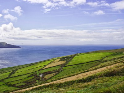 William Hill Rejects Irish Safe Gambling Code