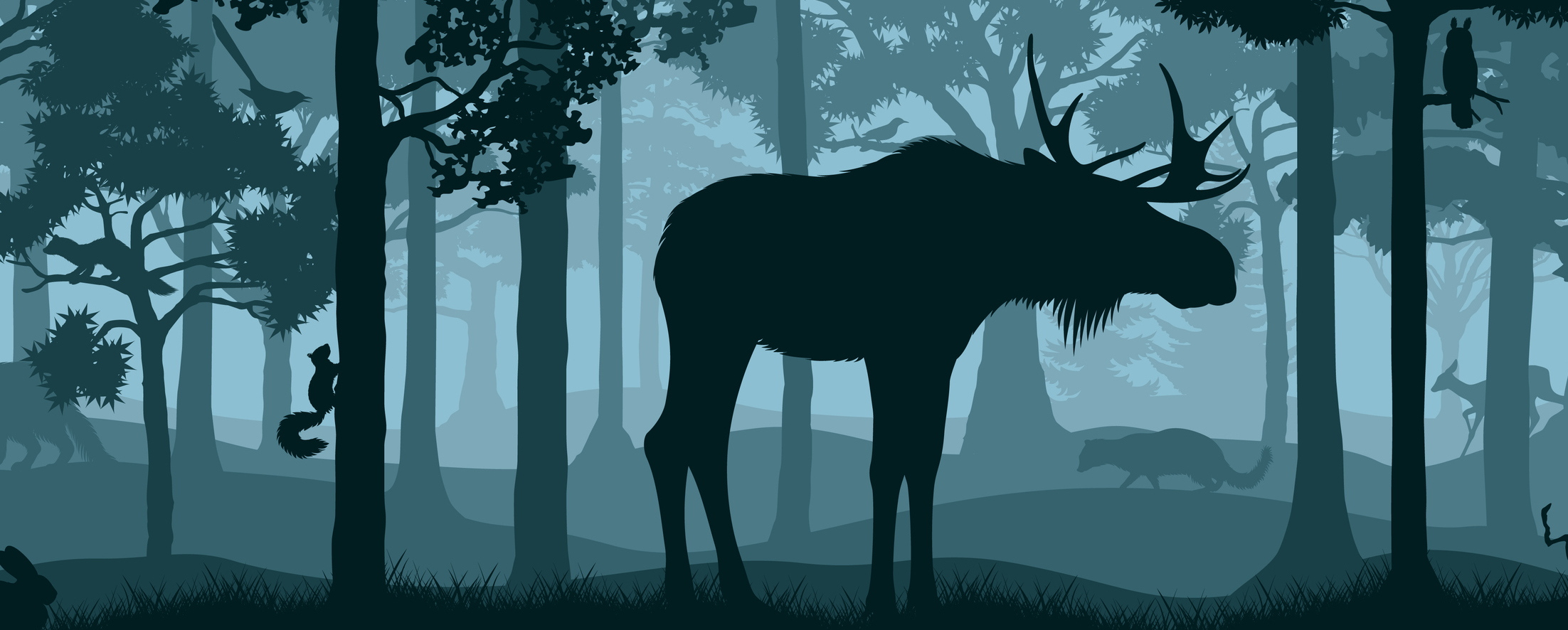 moody blue and black monochrome illustration of a moose in the woods. Behind him is a squirrel, a beaver, an owl, and a deer. moose are one of canada's most noble animals.