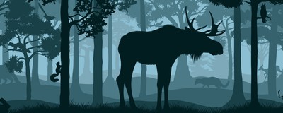 Responsible Gambling Tools at Online Casinos in Ontario